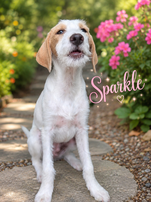 Sparkle