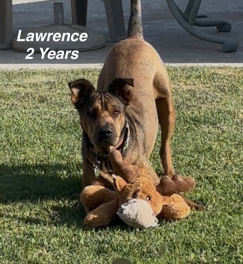 Photo 2 of Lawrence