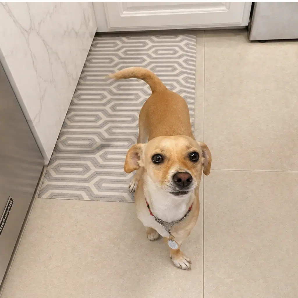 Len image 2