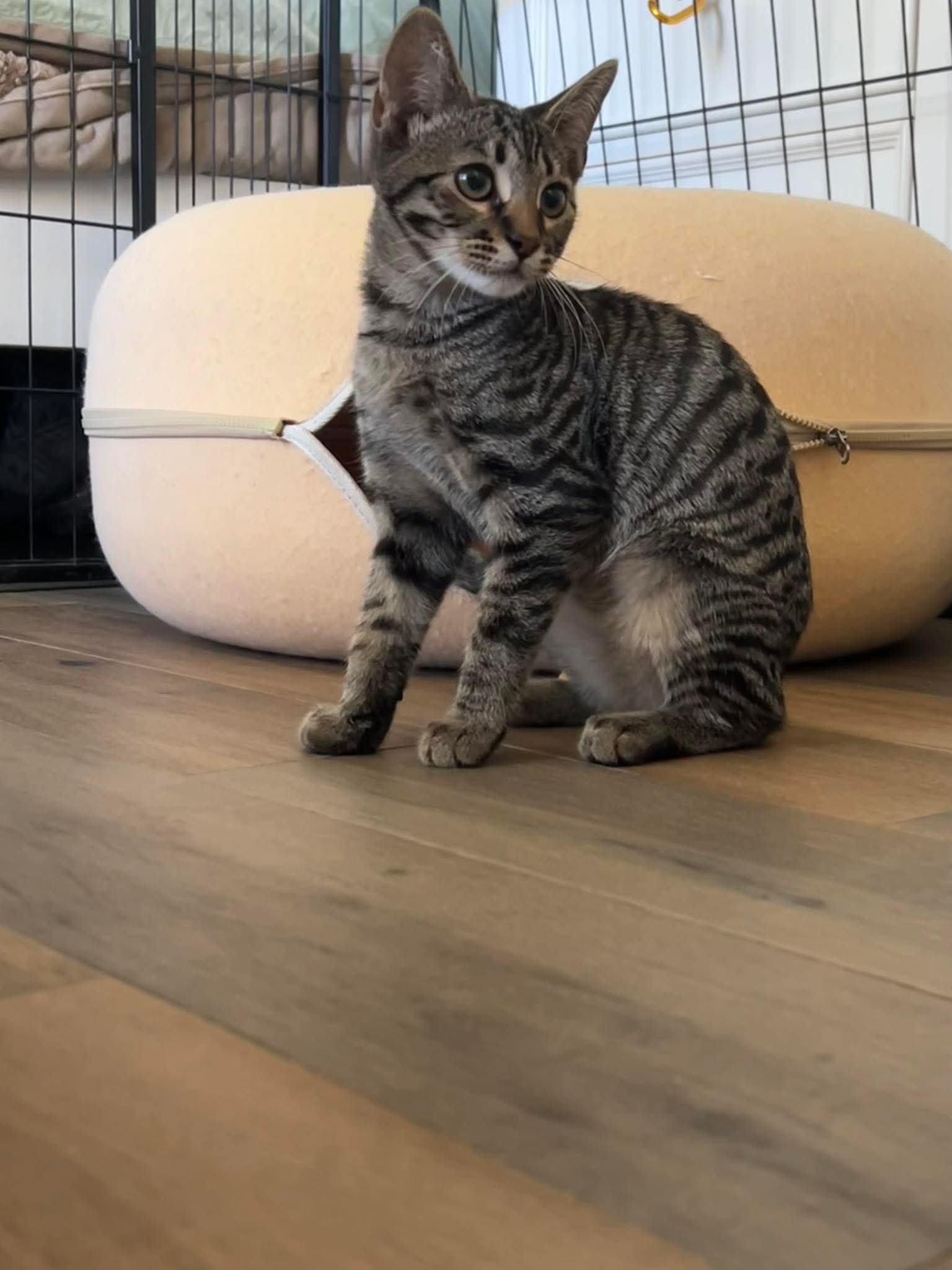 Bruce
