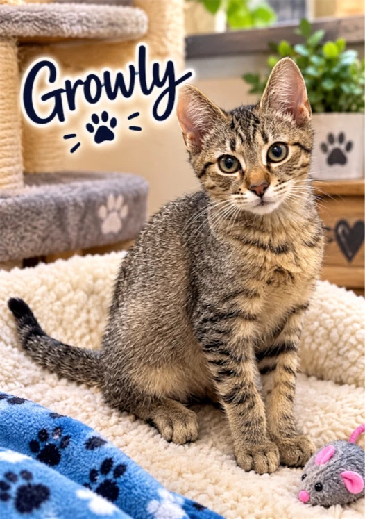 Growley