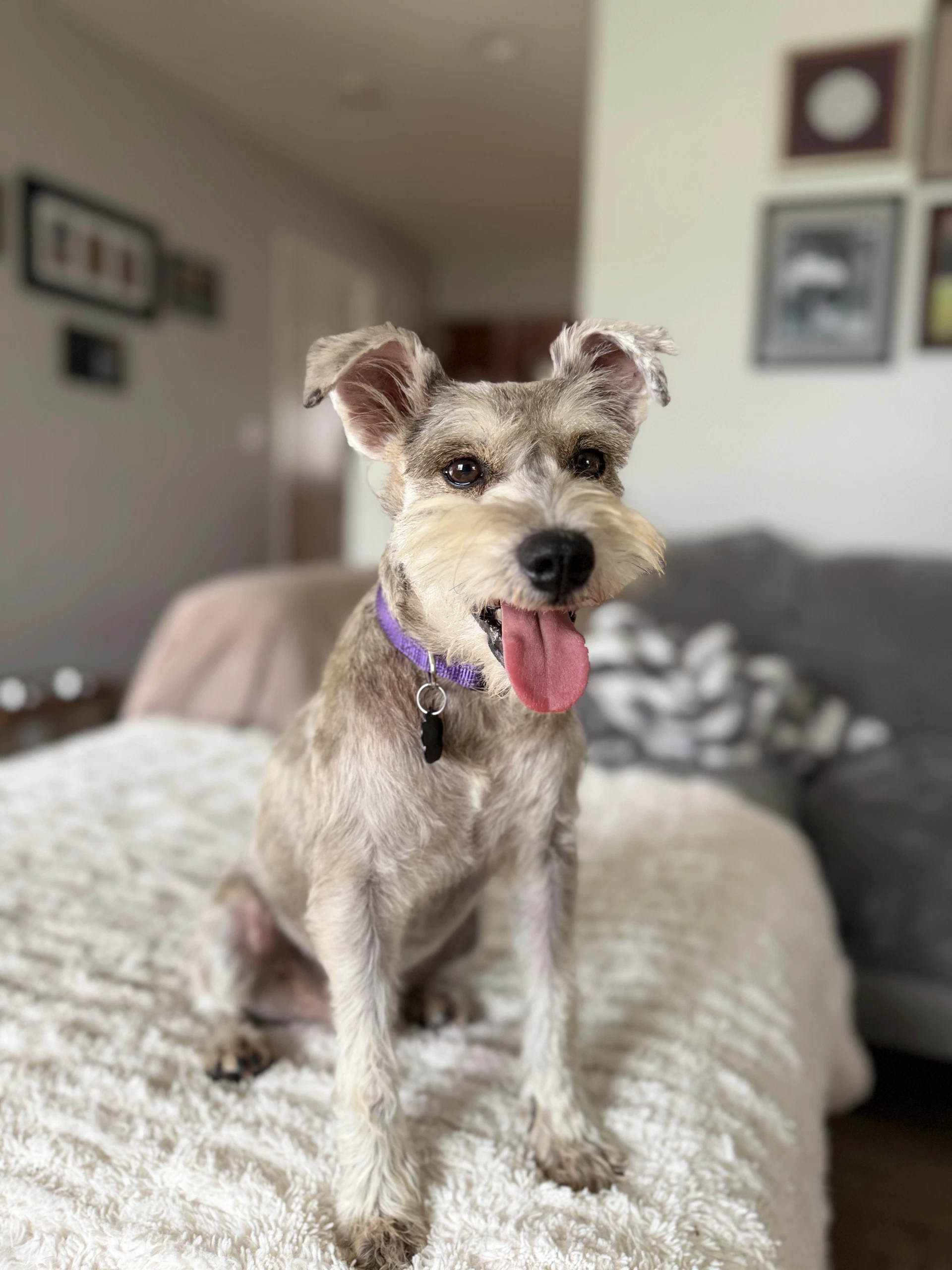 Murphy
