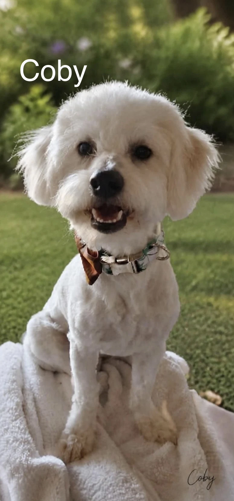 Coby