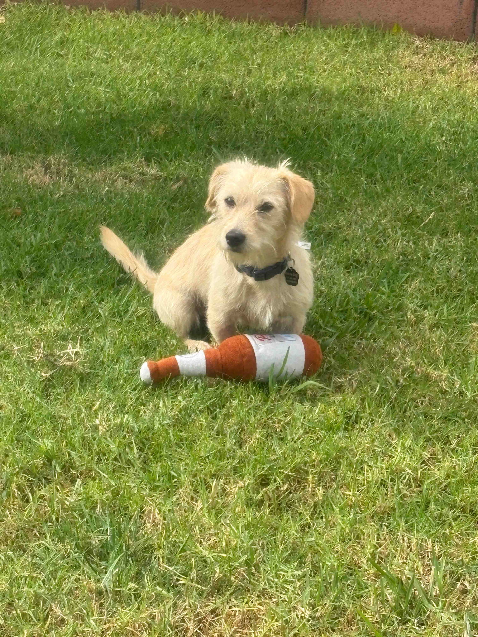 Duffy, photo 2