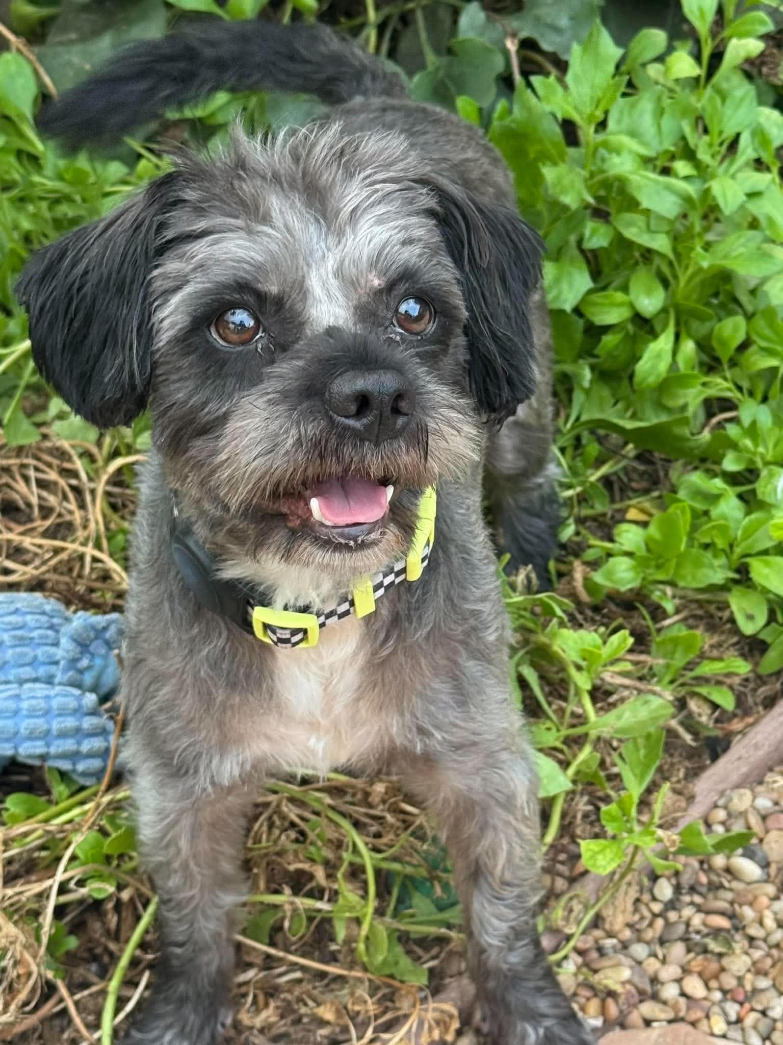 Oscar, photo 2