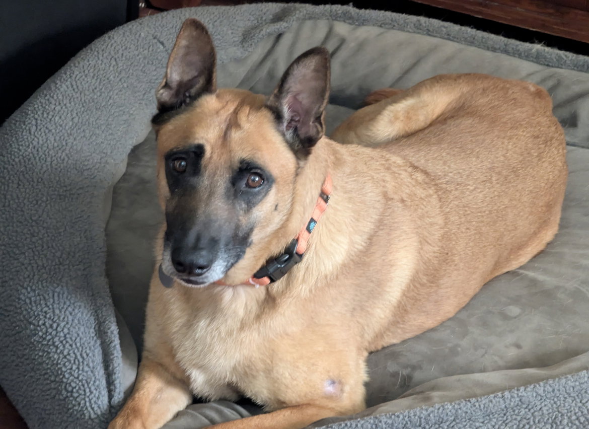 Roux