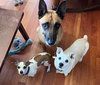 Roux - Photo 2