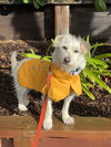 Willow - Photo 2