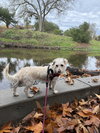 Willow - Photo 3