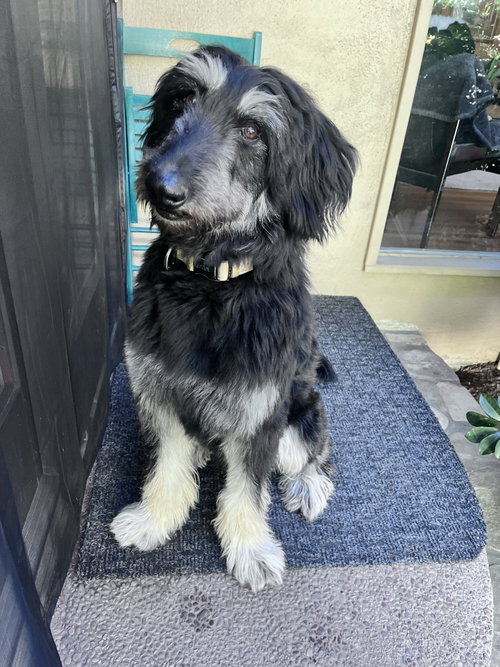 Photo of Bernie