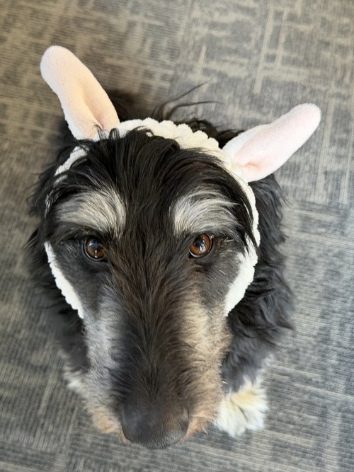 Photo of Bernie