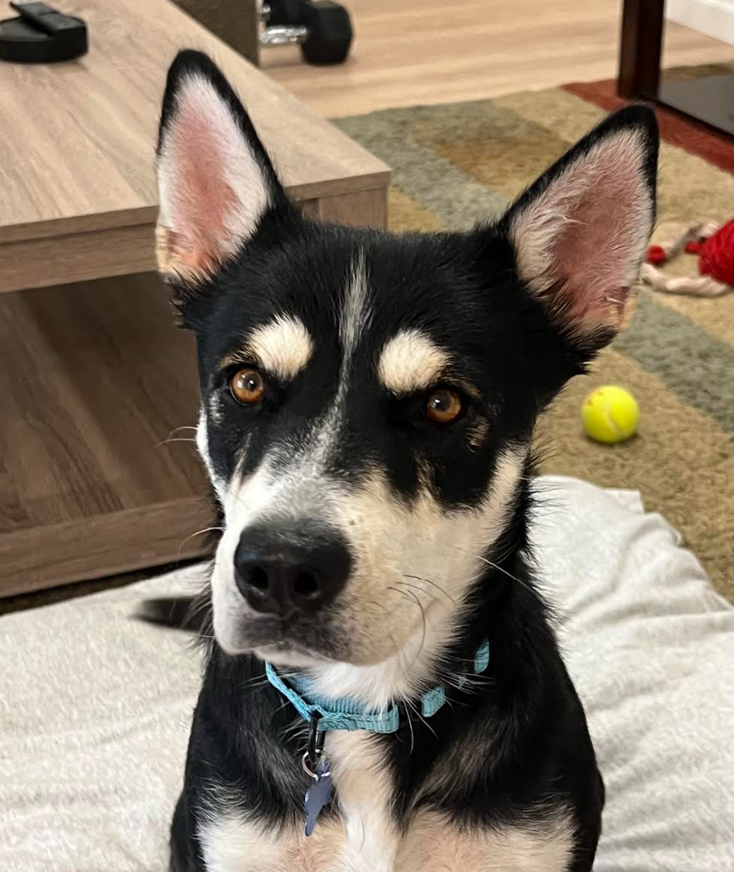 Rosie Image
