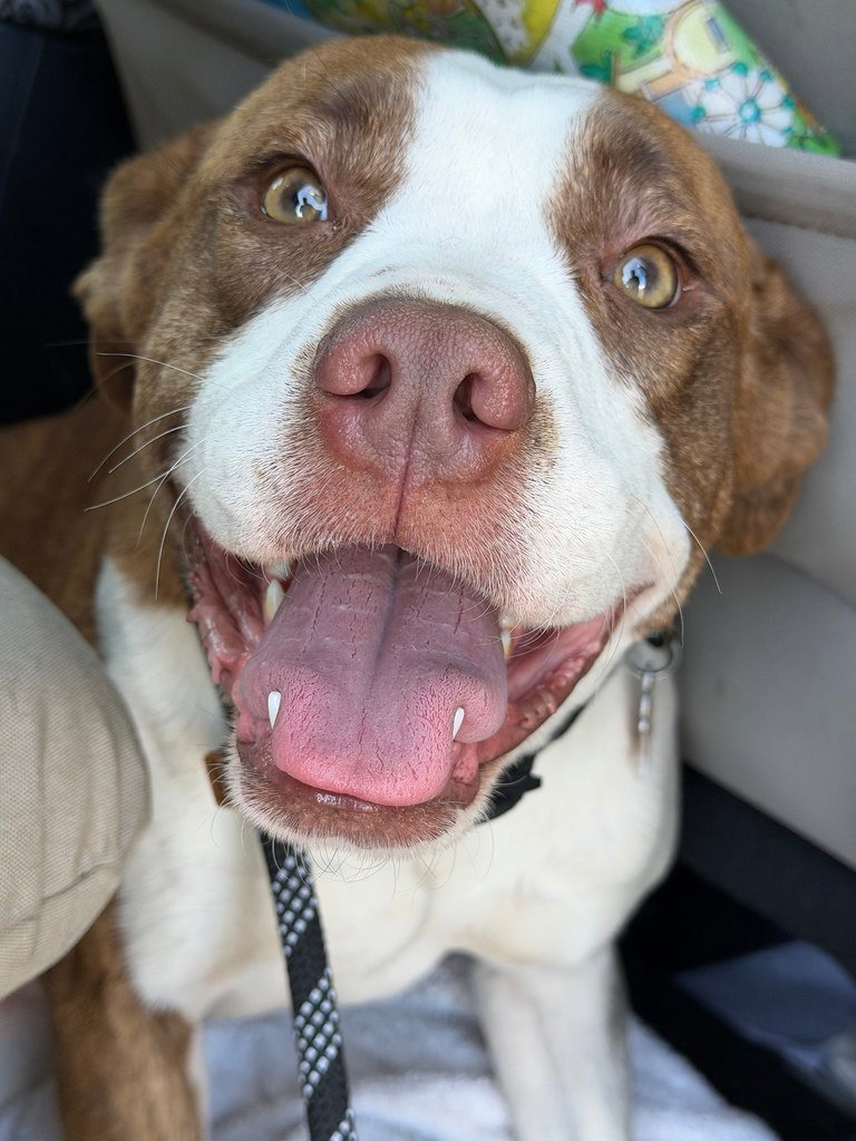 Chloe Image