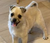 Bonnie - Photo 1