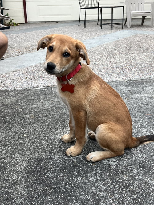 Asia