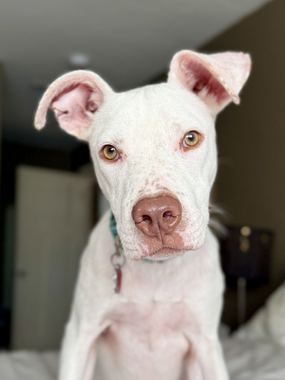 George