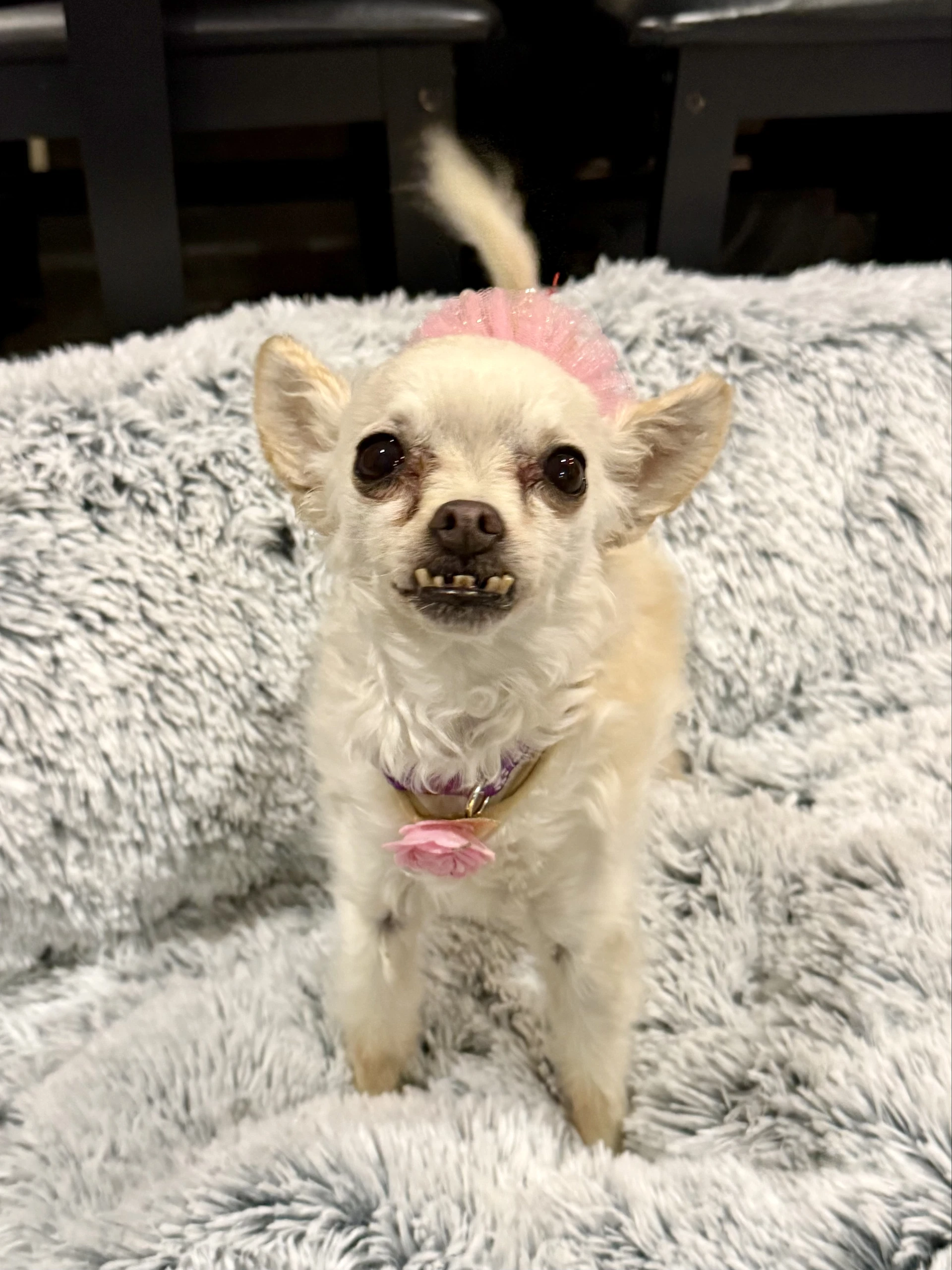 Sophie
