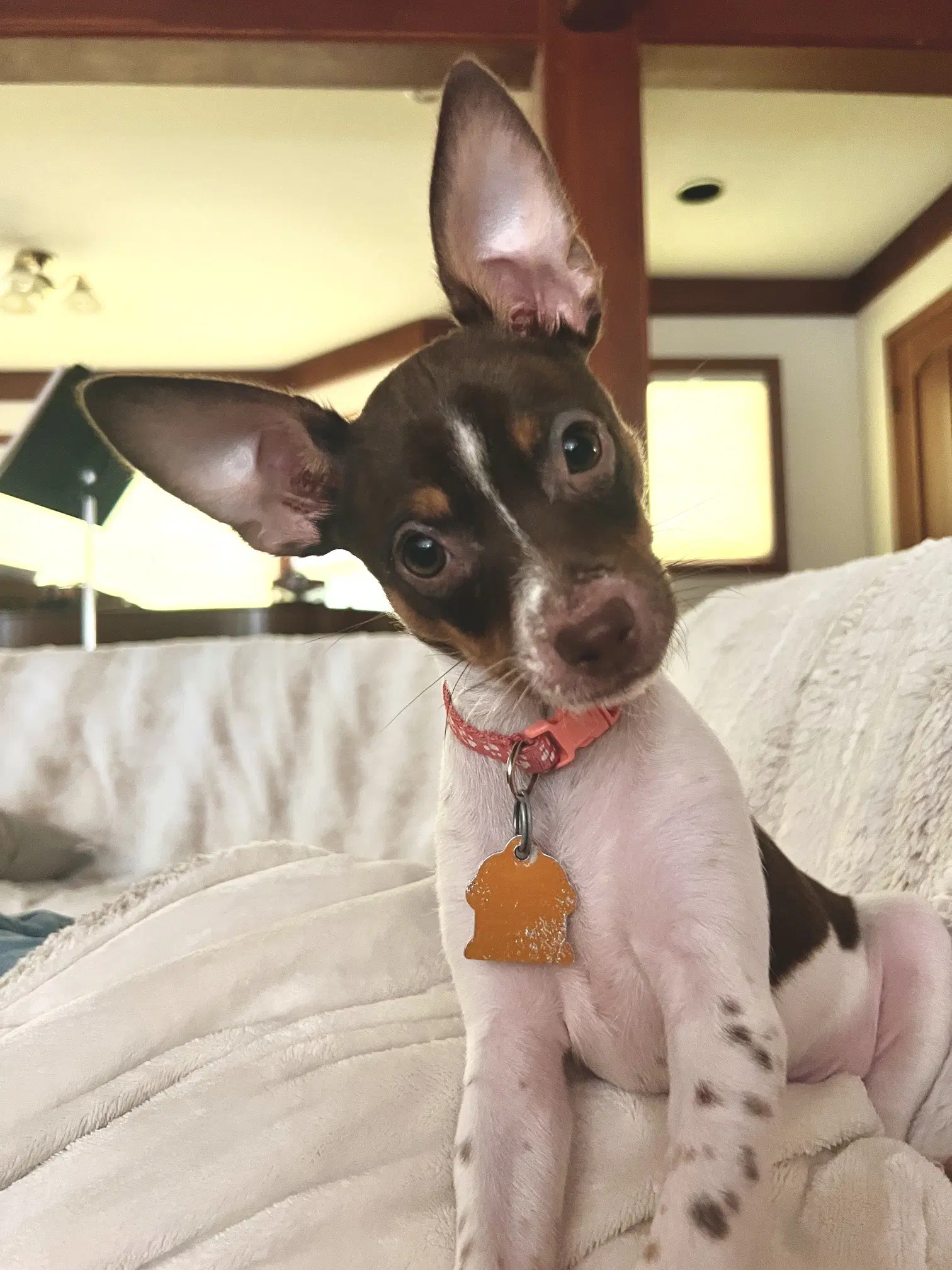 Billy image 1