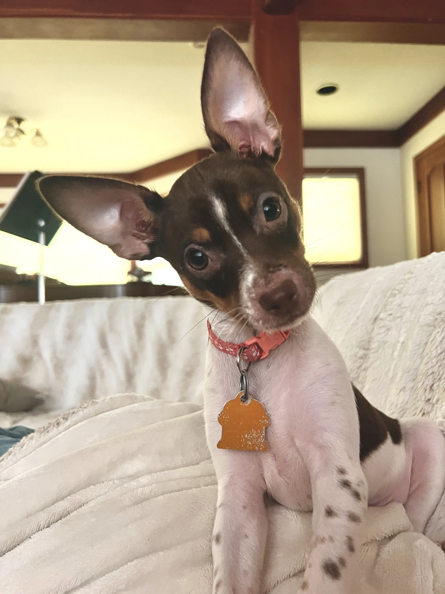Billy