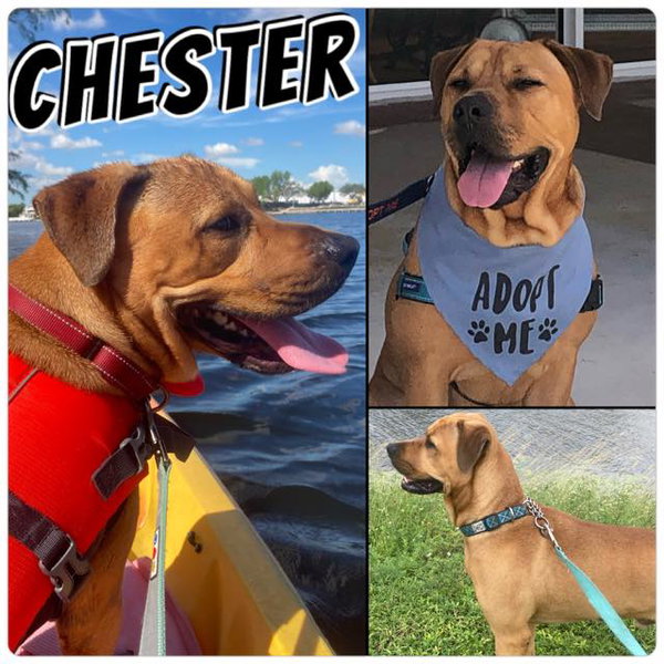 Chester