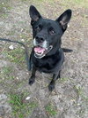 Sadie - Photo 20