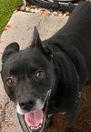 Sadie - Photo 16