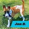 adoptable Dog in Pompano Beach, FL named Jon B (pup of Phoenix)