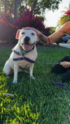 Lola - Photo 9