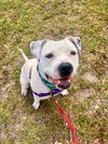 Lola - Photo 10