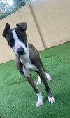 Riley - Photo 6