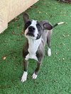 Riley - Photo 7