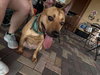 Charlie - Photo 8