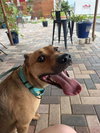Charlie - Photo 9