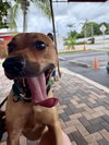 Charlie - Photo 7