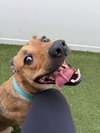 Charlie - Photo 10