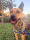 Charlie - Photo 2