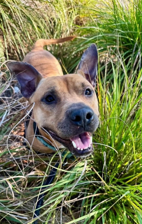 Charlie photo 2