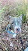 Jett - Photo 11