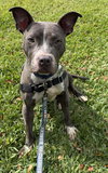 Jett - Photo 8