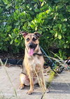 Frannie - Photo 7