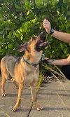Frannie - Photo 10