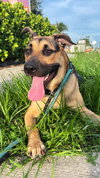 Frannie - Photo 3