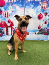 Frannie - Photo 5