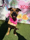 Frannie - Photo 2