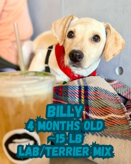 BILLY
