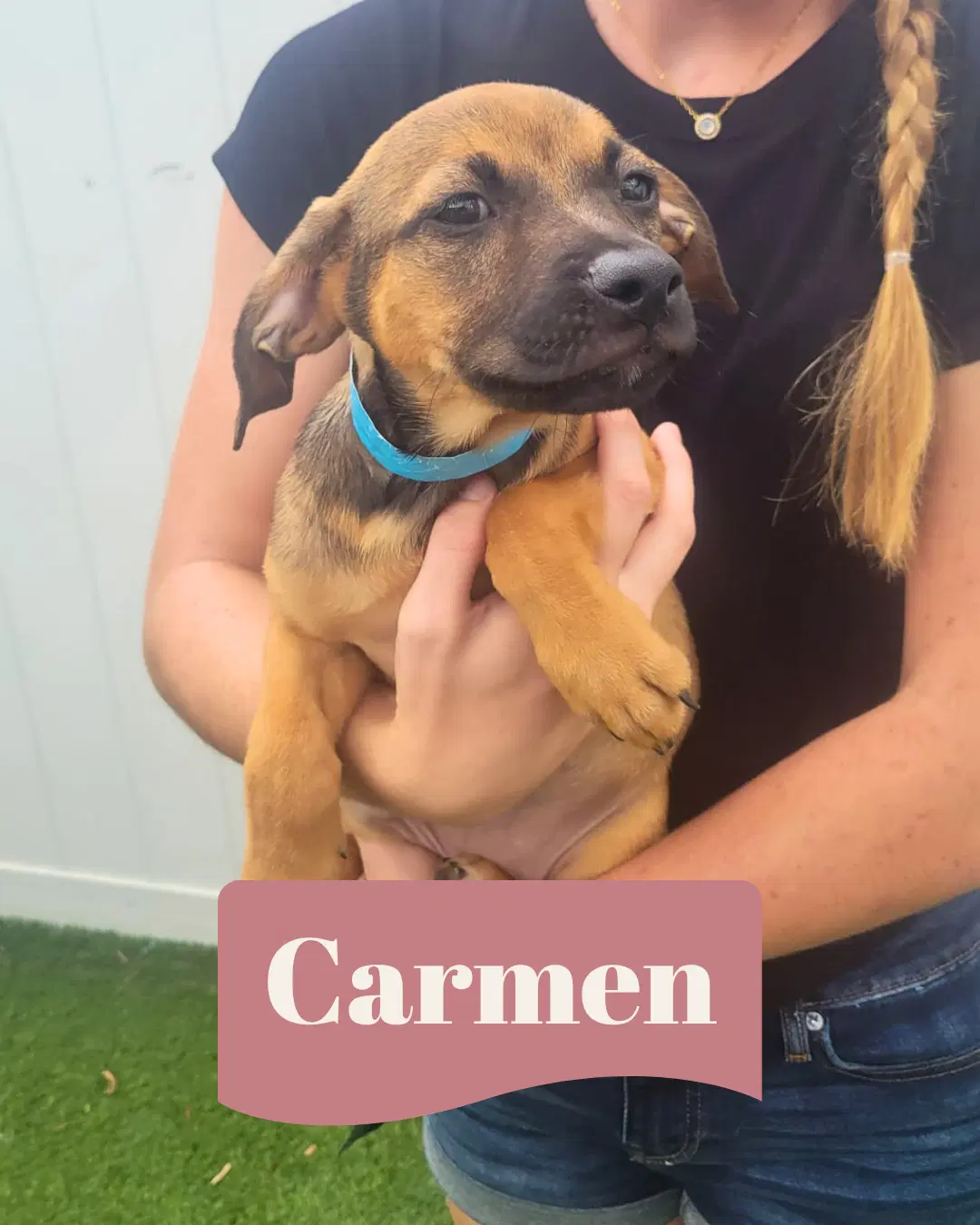 Isabella Pup - Carmen image 4