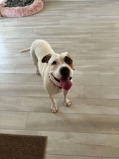 Capucine - Mom