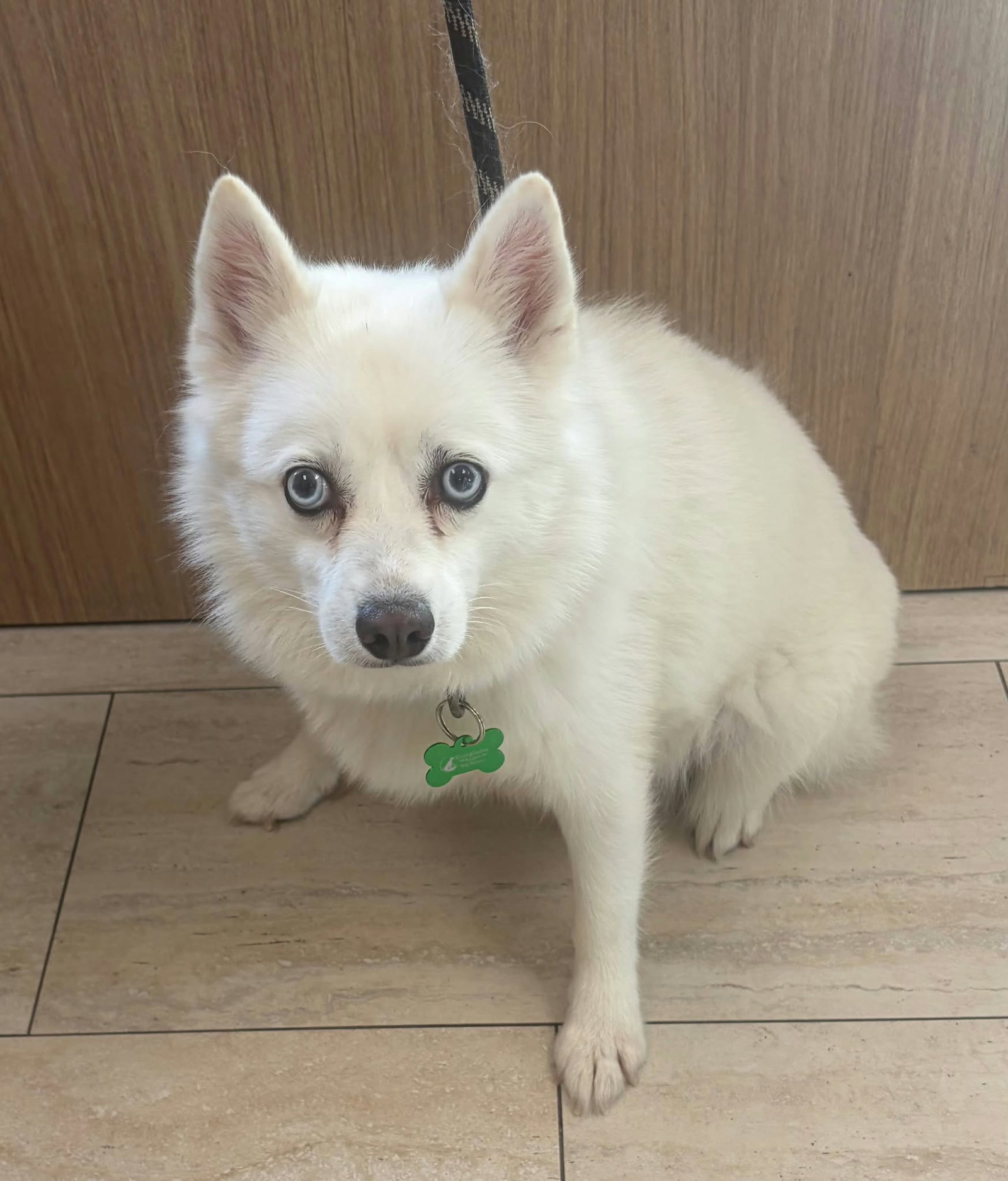 Tundra, photo 3