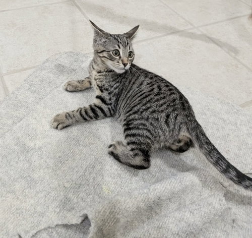 Zeus photo 3