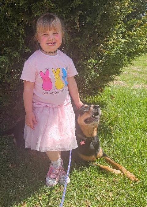 Nala, photo 4